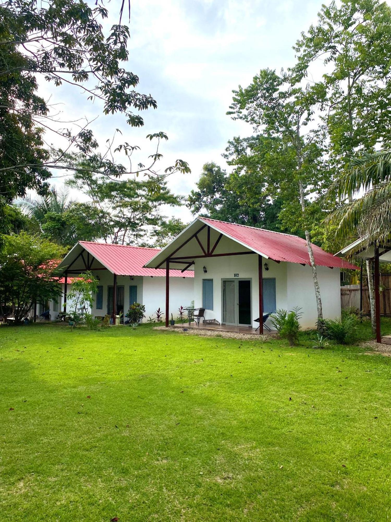 Chaikoni Lodge 普卡尔帕 外观 照片