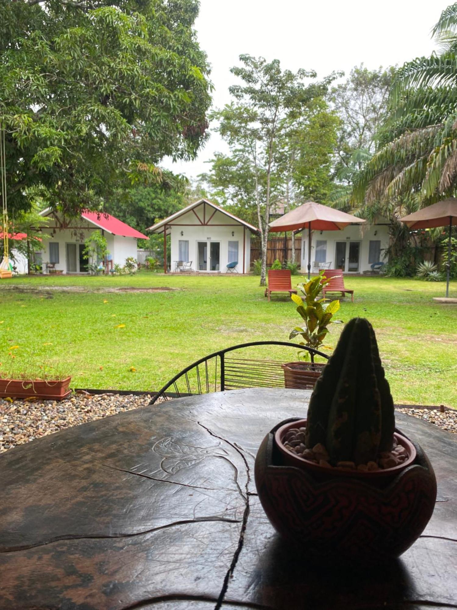 Chaikoni Lodge 普卡尔帕 外观 照片